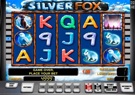 Silver fox casino Mexico